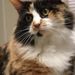 Profile Picture of Darlene Rust (@darlener0516) on Pinterest
