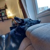 Profile Picture of Alexa Peters (@@alexapeters7) on Tiktok