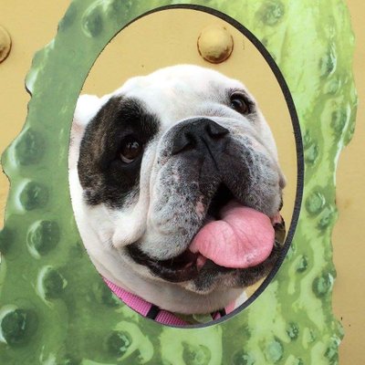 Profile Picture of Phony Bigcharles (@phonybigcharles) on Twitter