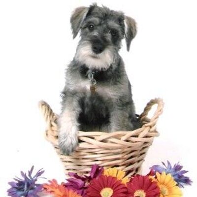 Profile Picture of Jim DePoe (@jdepoe) on Twitter