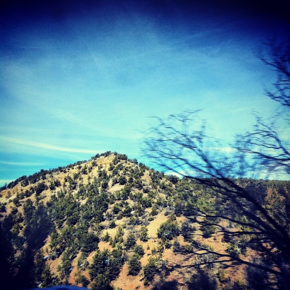 Profile Picture of Bryan Bentleys (@bentley728) on Poshmark