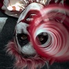 Profile Picture of gabrielatarango2008 (@@fans.de.ali.izquierdo) on Tiktok