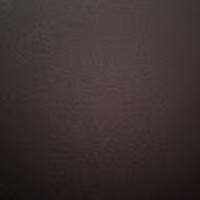 Profile Picture of Levi Reid (@levi-reid-31) on Quora