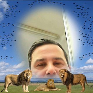 Profile Picture of Róbert Dàvid (Roberto Dávid shef) (@robert.david.39948856) on Facebook