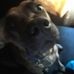 Profile Picture of Brandon Keatts (@brandon.keatts.1) on Facebook