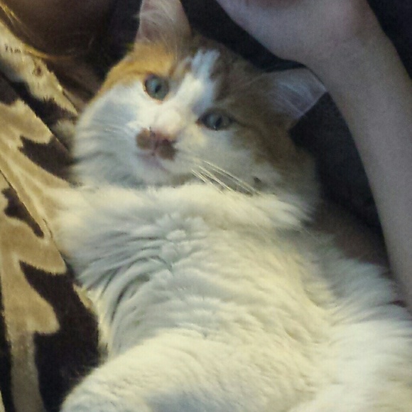 Profile Picture of Gisele Norberg (@1jarod) on Poshmark