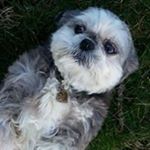 Profile Picture of Brenda Testa (@billtesta1914) on Instagram
