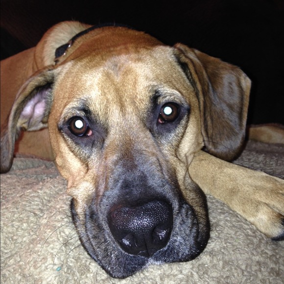 Gail Kaszynski - Poshmark Profile Picture of Gail Kaszynski (@gobrien1230) on Poshmark