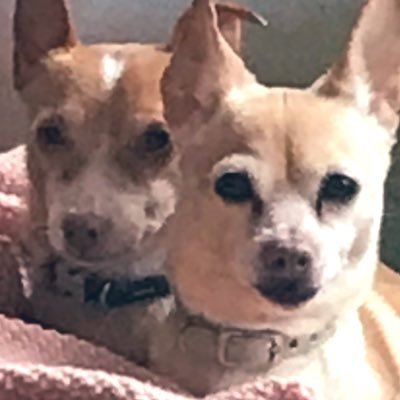 Profile Picture of POST MAN (@Matthew64375233) on Twitter