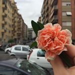 Profile Picture of Kayla Haley (@photograph_by_haley_) on Instagram