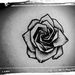 Profile Picture of Lisa Alb (@lisaalberola) on Pinterest