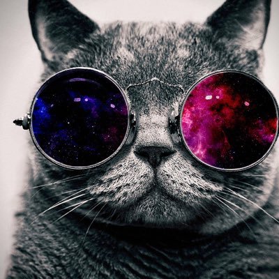 Profile Picture of Brian Brokaw (@brokaw13) on Twitter