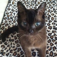 Profile Picture of Leslie Melton (@leslie-melton-7) on Quora