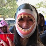 Profile Picture of Lisa Knapp (@lisasknapp) on Instagram