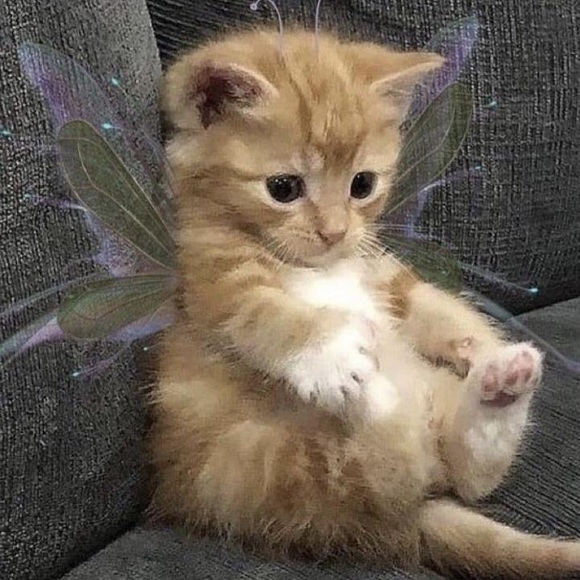 Profile Picture of Jessica Parsons (@jaytayxx) on Poshmark