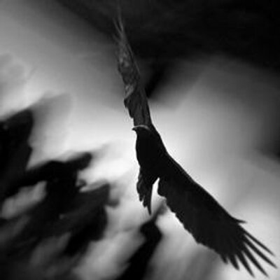 Profile Picture of Mirza Ajanovic (@ArtAjanovic) on Twitter