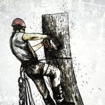 Profile Picture of Видалення та обрізка дерев (@vidalenniataobrizka) on Instagram