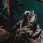 Profile Picture of Sam Haner (@saudadephotographer) on Instagram