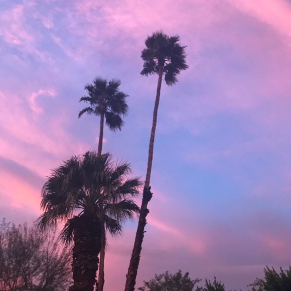 Profile Picture of Katie Conneally (@kconneally) on Poshmark