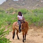 Profile Picture of Lynne Hoban (@lynnehoban) on Instagram