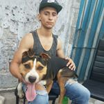 Profile Picture of Joseph Calafat (@joseph_calafat) on Instagram