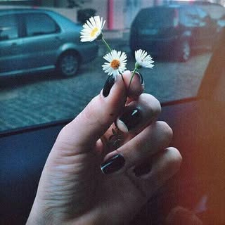 Profile Picture of Ngan Ha Nguyen (@nganha.n) on Instagram