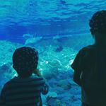 Profile Picture of Andrea Schuster (@andrea.schuster.7545) on Instagram