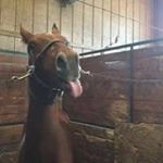 Profile Picture of Geoffrey I.Rosenberger (@i.rosenberger) on Instagram