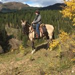 Profile Picture of Danny Irving (@working_farrier) on Instagram