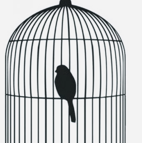 Profile Picture of Sonia Haroon (@hurain1) on Poshmark