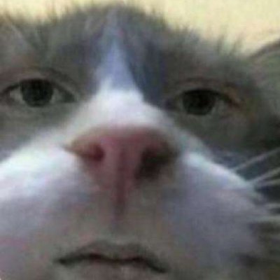 Profile Picture of Simon Larson (@Sim0nayy) on Twitter