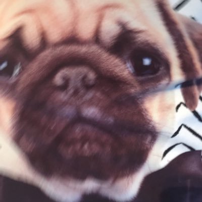 Profile Picture of Mark RFC Mccusker (@MccuskerRfc) on Twitter