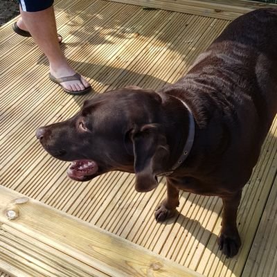 Profile Picture of Dynamic_josh (@JoshFenner567) on Twitter