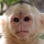 Profile Picture of Evan Scherr (@evan_ballin) on Instagram