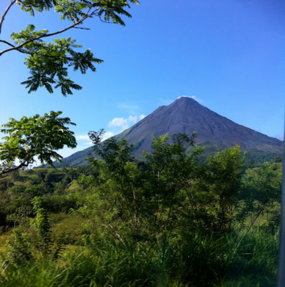 Profile Picture of Lisa Gilliam (@maestragilliam) on Poshmark