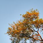 Profile Picture of Adam Tran (@adam.tran04) on Instagram