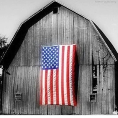 Profile Picture of Buddy Cannon (@cannon_buddy) on Twitter