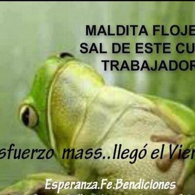 Profile Picture of Javier Amaro Basaez (@javieramaro306) on Twitter