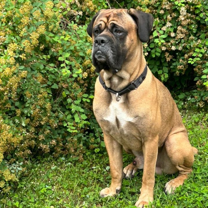 Profile Picture of Richard Parent (@richardparent88) on Tiktok