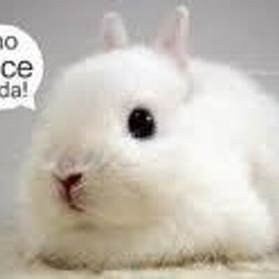 Profile Picture of Valeria Jesús (@JessArambulo) on Twitter