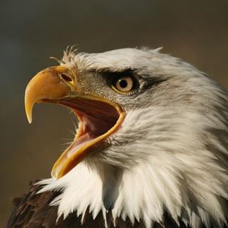 Profile Picture of Marek Hotovy (@marek.hotovy.7) on Facebook