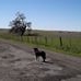Profile Picture of Constance Read (@constance.read.5) on Facebook