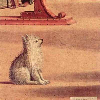 Profile Picture of Tyler Wittman (@tylerwittman) on Twitter