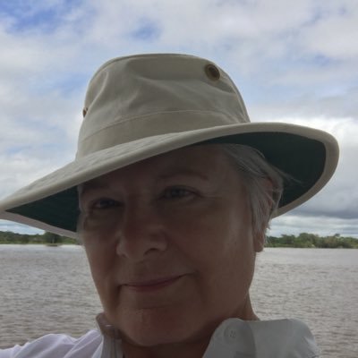 Profile Picture of Linda Burt (@lburtybee) on Twitter