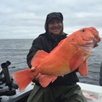 Profile Picture of Coby Harris (@cobyharris) on Instagram