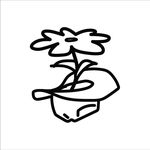 Profile Picture of Matthew Henry (@aquarodeo) on Instagram