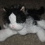 Profile Picture of Jeff Stroud (@jeff.stroud1) on Instagram