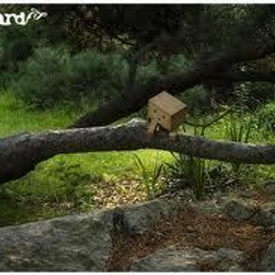 Profile Picture of Amelia Pineda (@AmeliaPineda1) on Twitter