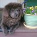 Profile Picture of Rayford Sowell (@rayford38) on Pinterest