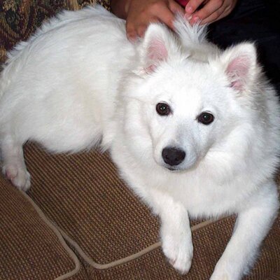 Profile Picture of Larry Benson (@larryb101) on Twitter